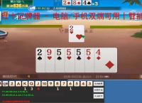 红十记牌器 - 电脑/手机双端可用丨智能算牌 炸弹提醒丨东北红十专用辅助工具