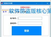 软件防盗版核心策略：五大防护技术解析